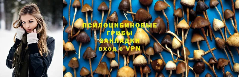 Псилоцибиновые грибы Magic Shrooms  Северодвинск 